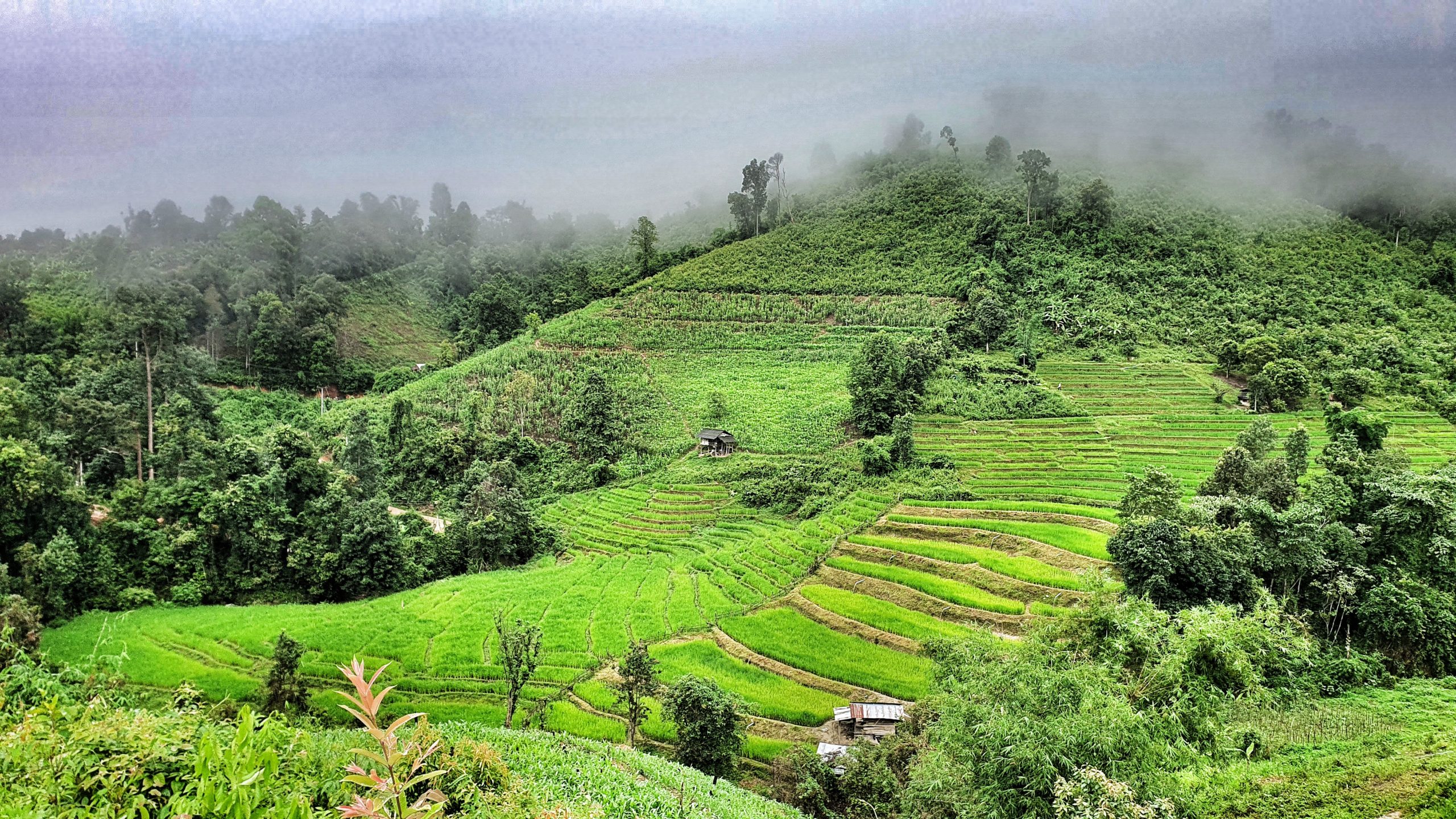 Mae Wang Trail Loop • Chiang Mai Trail Running